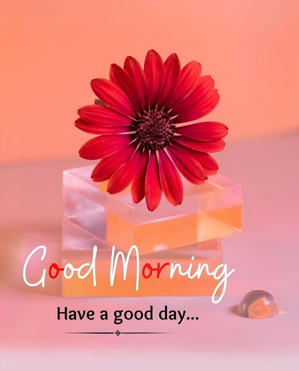 Good Morning