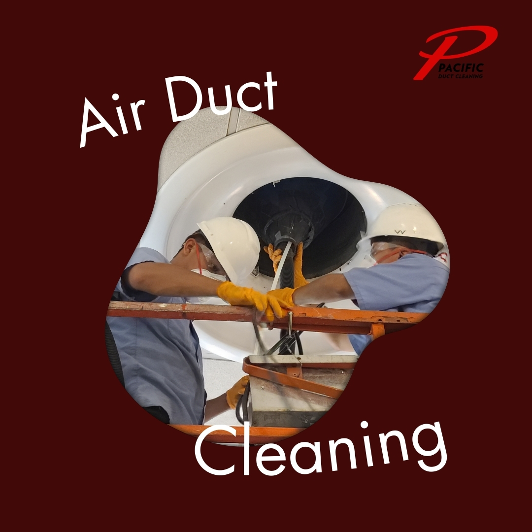 Fresh air, healthy home! Our air duct cleaning services ensure your space stays dust-free and your family breathes easier. Say goodbye to allergens and hello to clean air! #AirDuctCleaning #HealthyHome #FreshAir