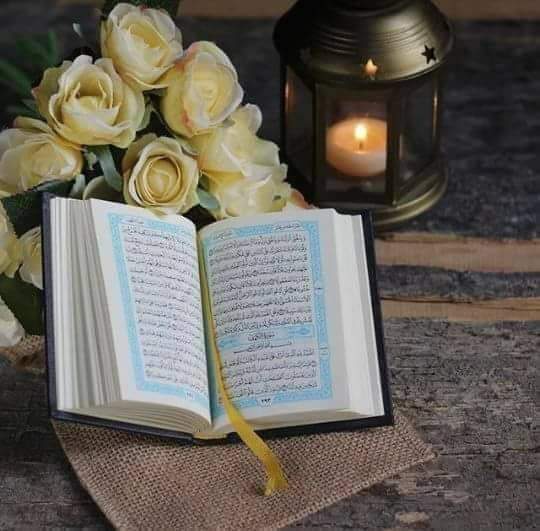 Assalam o alaikum wa rakahmatullah  
کہہ دو کہ ہم کو کوئی مصیبت نہیں پہنچ سکتی بجز اسکے جو اللہ نے ہمارے لیے لکھ دی ہو،وہی ہمارا کارساز ہے
مومنو کو اللہ ہی کا بھروسہ رکھنا چاہئیے
Kia ap mry sbhs k salam ka jawab dyn gyn ??.🌹🌹🌸