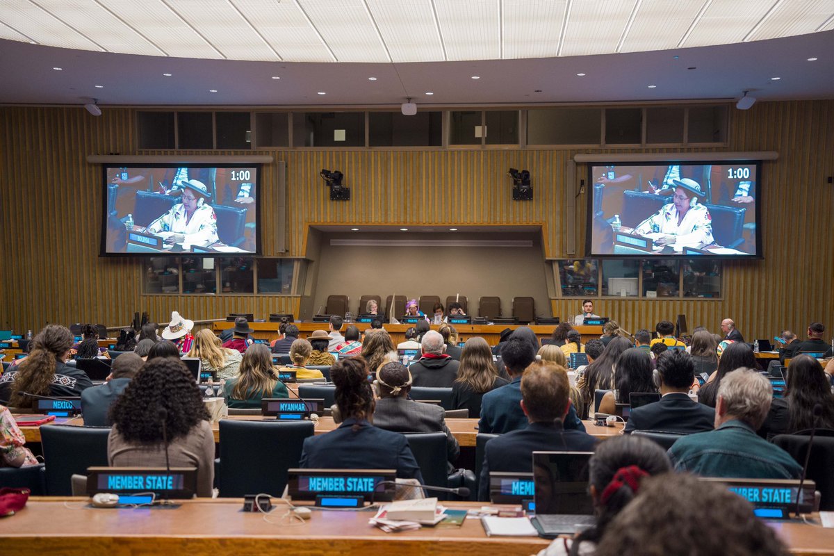 CelindaBolivia's tweet photo. Hoy iniciamos nuestra participación en el 23º Periodo de Sesiones del Foro Permanente para las Cuestiones Indígenas de la ONU, un espacio donde reflexionaremos desde nuestros conocimientos, vivencias y formas de vida.

#DiplomaciaDeLosPueblos
#PorLaVida
#WeAreIndigenous https://t.co/WxCF7MTYOM