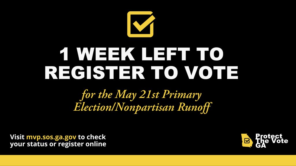 Protect The Vote GA tweet media