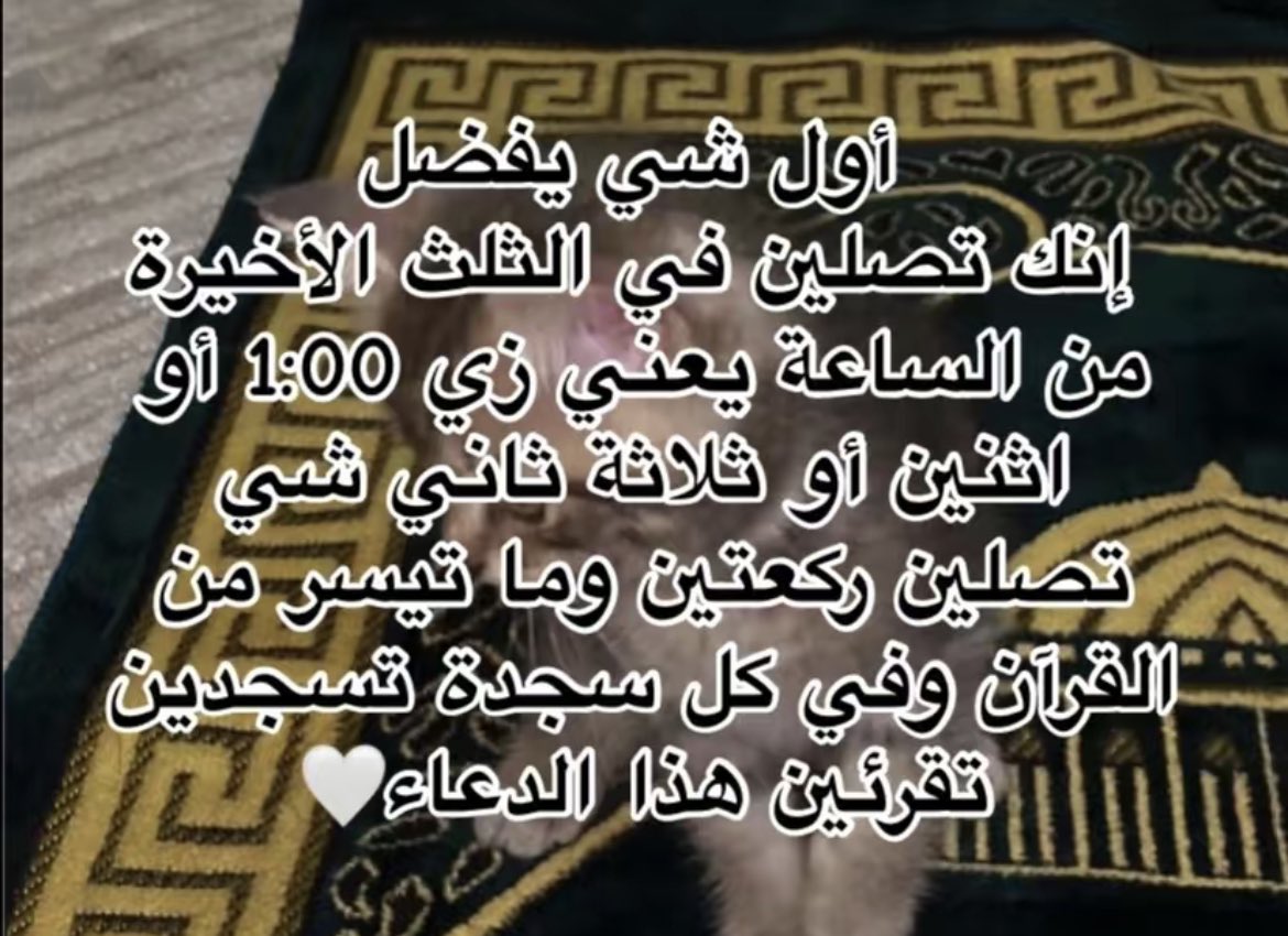 ilool96's tweet photo. اول مره اعرف ان فيه صلاه اسمها صلاة الحاجة وكثير تحققت امنياتهم بسببها "بعد الله" 
هذي طريقتها للي ما يعرفونها👇 https://t.co/SrS8FVOhaQ