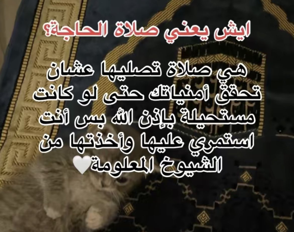 ilool96's tweet photo. اول مره اعرف ان فيه صلاه اسمها صلاة الحاجة وكثير تحققت امنياتهم بسببها "بعد الله" 
هذي طريقتها للي ما يعرفونها👇 https://t.co/SrS8FVOhaQ