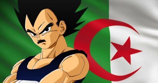 Mateteey's tweet photo. Les gars on est d’accord que Végéta a indéniablement du sang Algérien https://t.co/cCTsdcLu8v