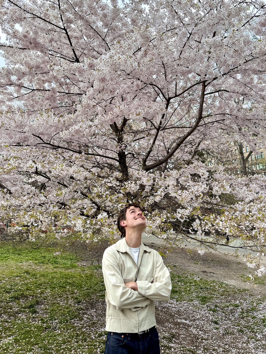 connorfranta's tweet photo. spring in new york https://t.co/fOou2mKsKx