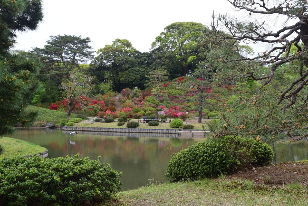 RikugienGarden tweet picture