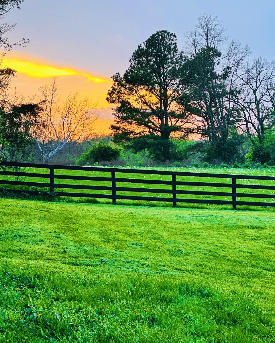 Sunset on the farm. #middleearthfarmky #Kentucky #horsecountry #sharethelex