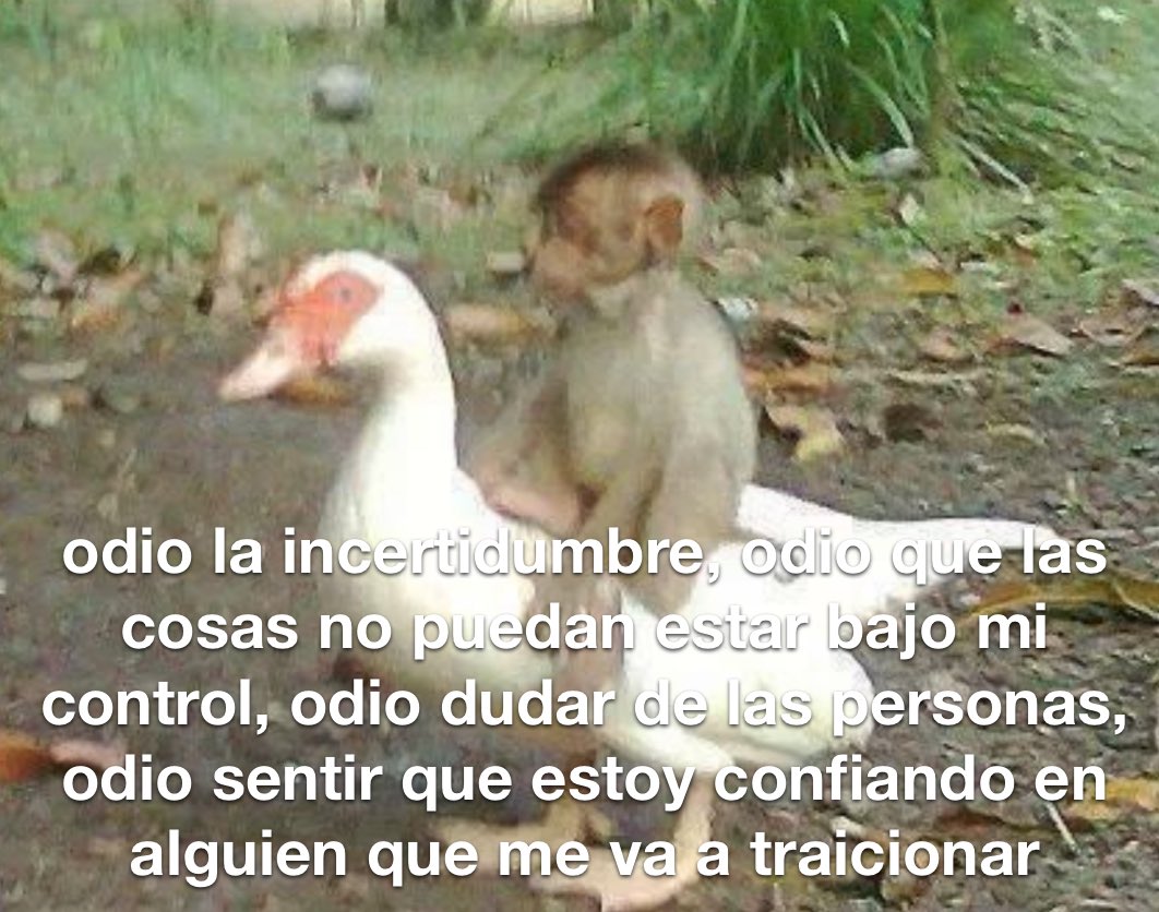 conoloracigarro's tweet photo. https://t.co/KHV00s00I6