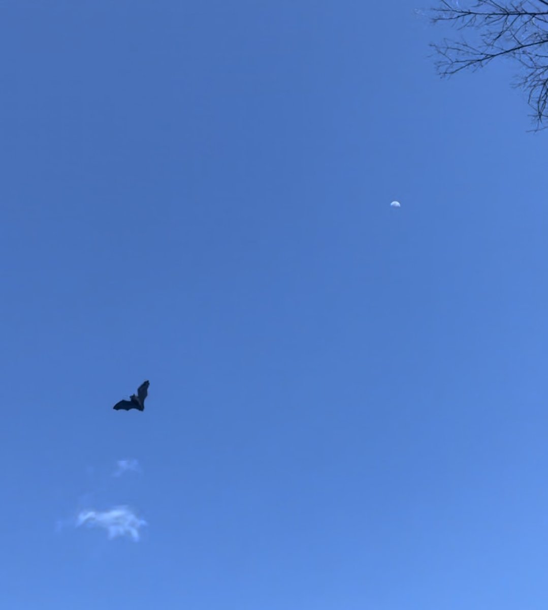 Patrick J. Lynch tweet media