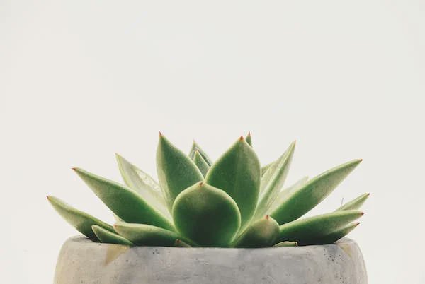ThungDang's tweet photo. You don't always need a plan. Sometimes you just need to breathe, trust, let go and see what happens. https://t.co/UCuvsjGWBW