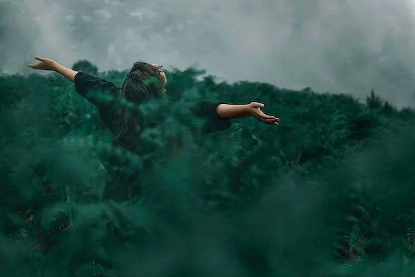 ChenTrong's tweet photo. I have learned over the years that when one's mind is made up, this diminishes fear; knowing what must be done does away with fear. https://t.co/AHLqjMSWJo