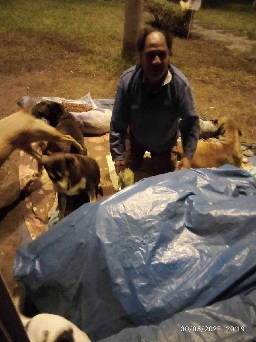 caritortas's tweet photo. Por favor hay vigilantes en el parque hoy y no se si el señor Percy llegó y lo botaron.los perritos caminan mucho con el y hay una ancianita y una de 2 meses.por favor algún trabajo de guardiania o algún terreno cono sur donde el pueda vivir. Ayudemoslo. 934330566 https://t.co/niDDJ3p65M
