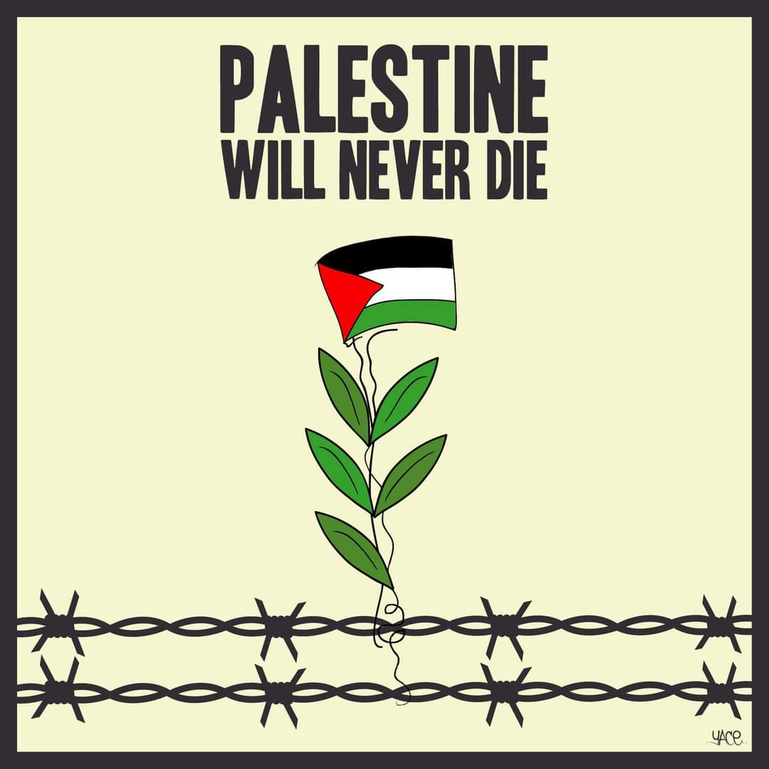 #Palestine 
#GazaGenocide2024 
#FreePalestine 
#BoycottCarrefour
...