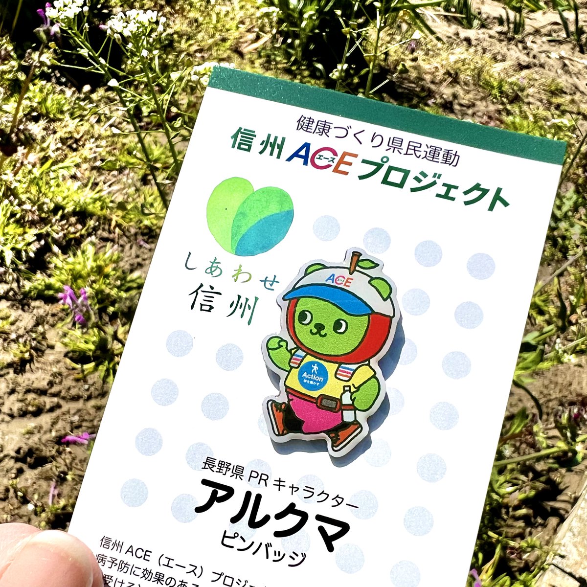 tw_pin's tweet image. みなさ〜ん!!

A 体を動かしていますか？

C 健診受けていますか？

E 健康に食べていますか？

長野県は世界一の #健康長寿 を目指しています!!

できる事から取り組んでいきましょう!!
#アルクマ も走りますよ〜(^○^)/

#信州ACEプロジェクト 公式HP⬇️
ace.nagano.jp