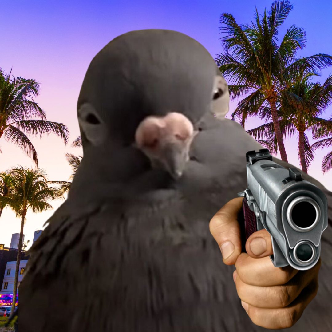In other news. Coo art is completed and making final adjustments. Next phase will be finding the right people to help me with minting process/distribution. 

Pigeons word is gold fucking bars. 
Top holders get multiple.
Coo coo mf.
Pigilio.