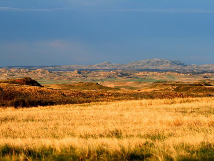 Little Missouri National Grasslands in North Dakota is the largest grassland in the United States at more than 1 million acres.