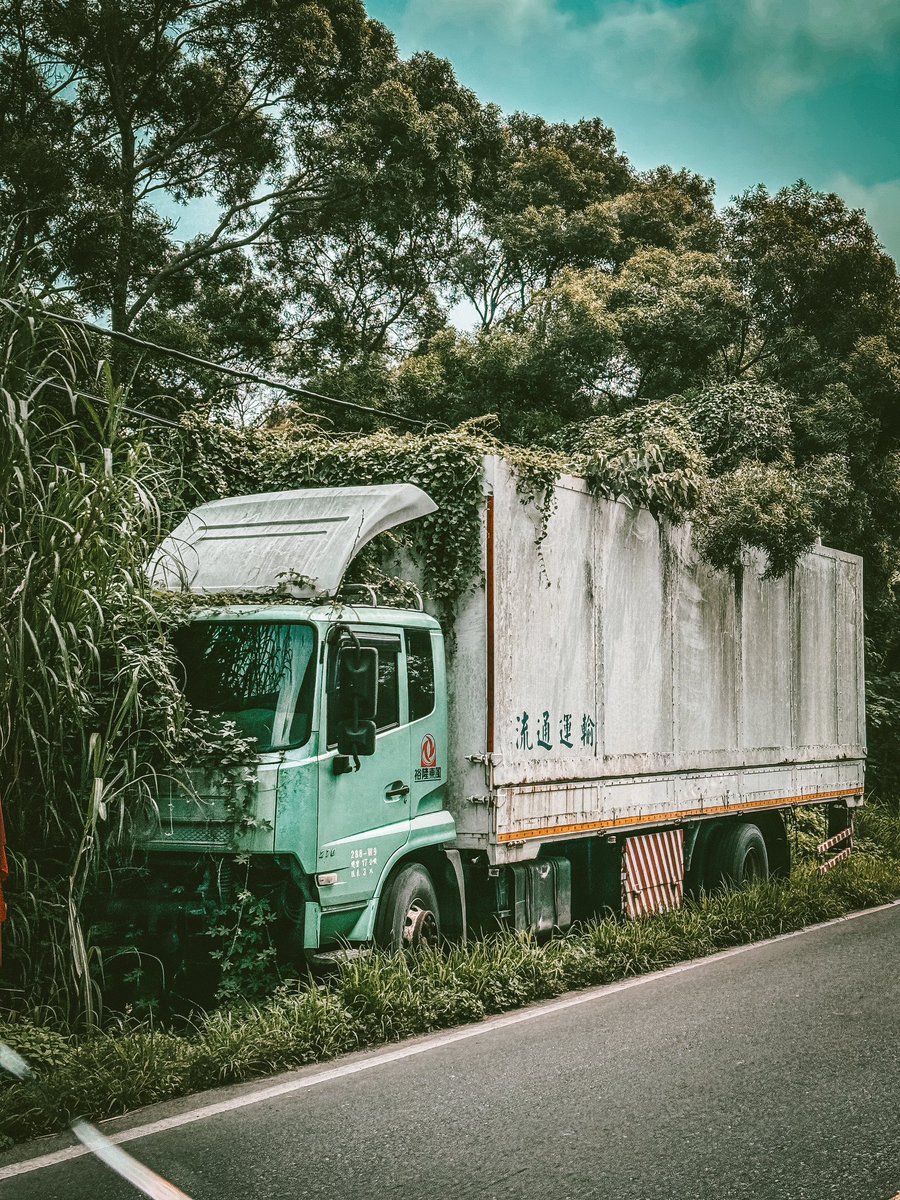 有時候不得已的「偽裝」
只為掩飾受了傷😔
#拍我所見
#shotoniphone
#photography 
#photodaily 
#streetphotography 
#taiwanstreetview 
#lightphotography 
#攝影
#街頭
#街頭攝影 
#隨手記錄 
#隨拍