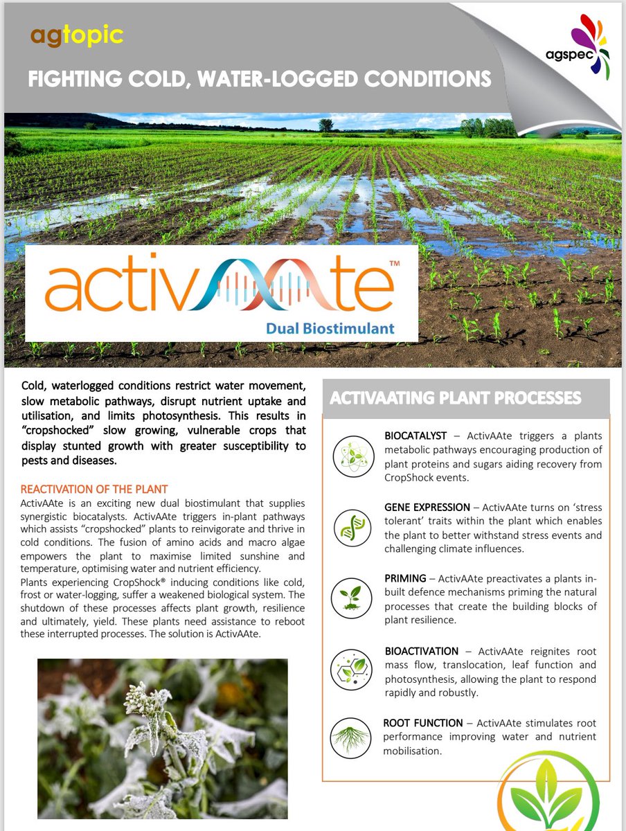 AgspecVicTas's tweet photo. We need #rain but too much has a neg effect on #crops under stress from #CropShock drivers like #herbicides & cold cloudy weather. #Agspec #Activaate cost effectively reinvigorates plants, boosts recovery & increases root function in cold weather! #agriculture #ausag #FarmerAU https://t.co/Mj39c5iSwH