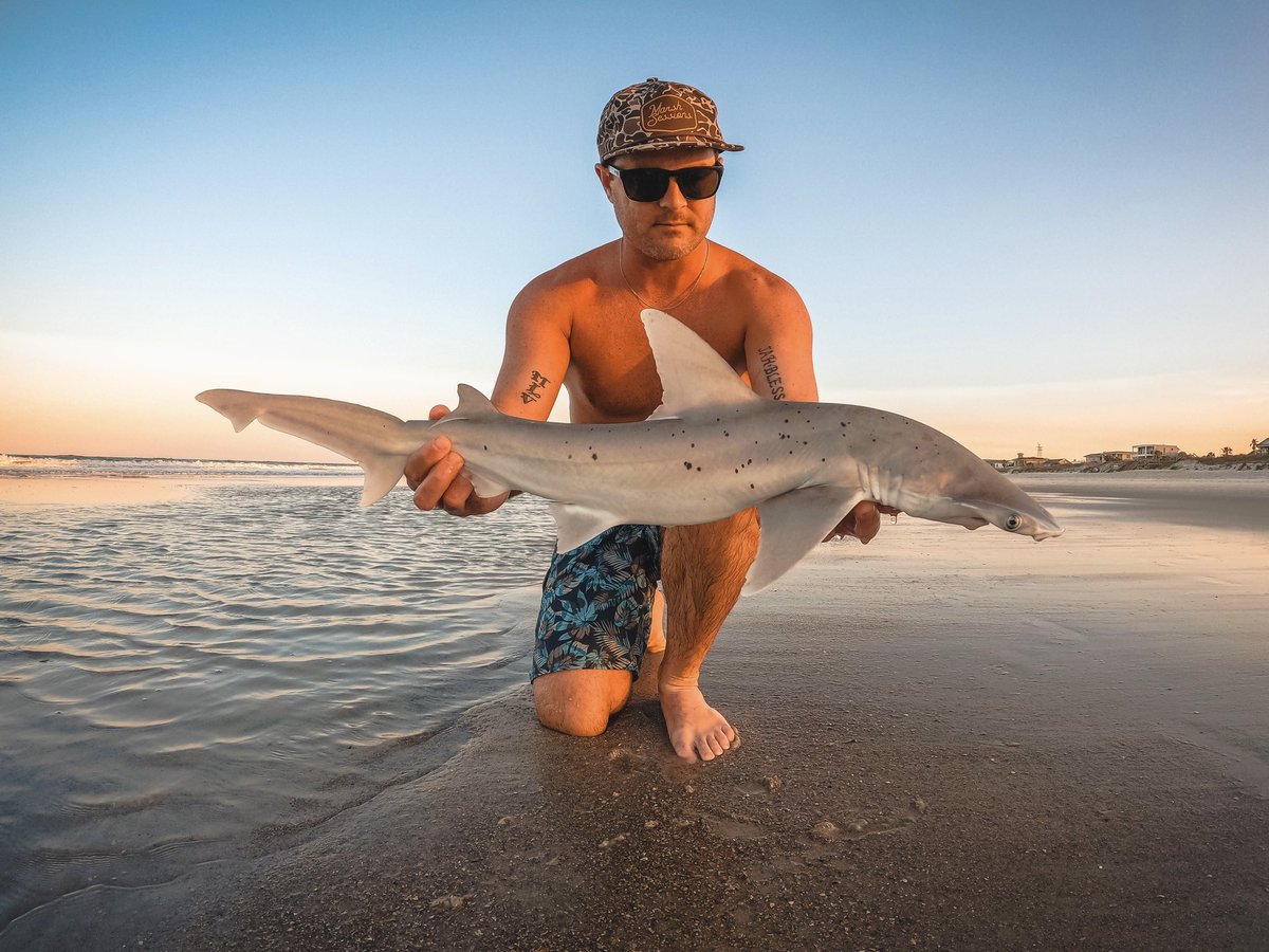 Vogt20's tweet photo. Sharky sunset 🦈 @GoPro @FL_Sportsman 

#WillVogtPhotography #GoPro #JaxBeach #Fish #Shark #Bonnethead #Florida #Fishing https://t.co/PxW004fnLF