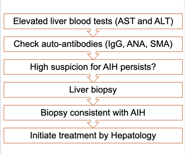 Autoimmune Hepatitis (AIH) can be challenging with a broad differential to consider

Check out  <a href="/JeffKThan/">Jeff Than</a> post on ANA-lyzing AIH for the basics of diagnosis, treatment, and pre-treatment considerations including🤰counseling

#LiverTwitter #MedEd #FOAMed

aasld.org/liver-fellow-n…