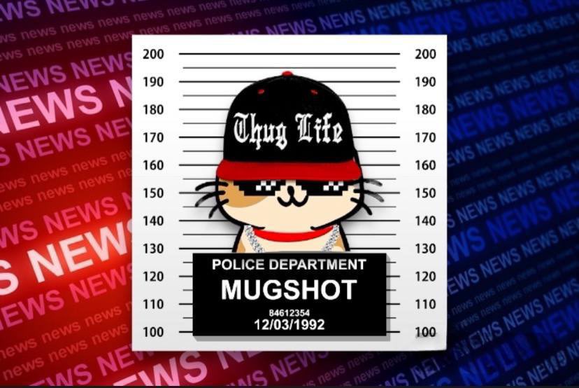 tweet item media