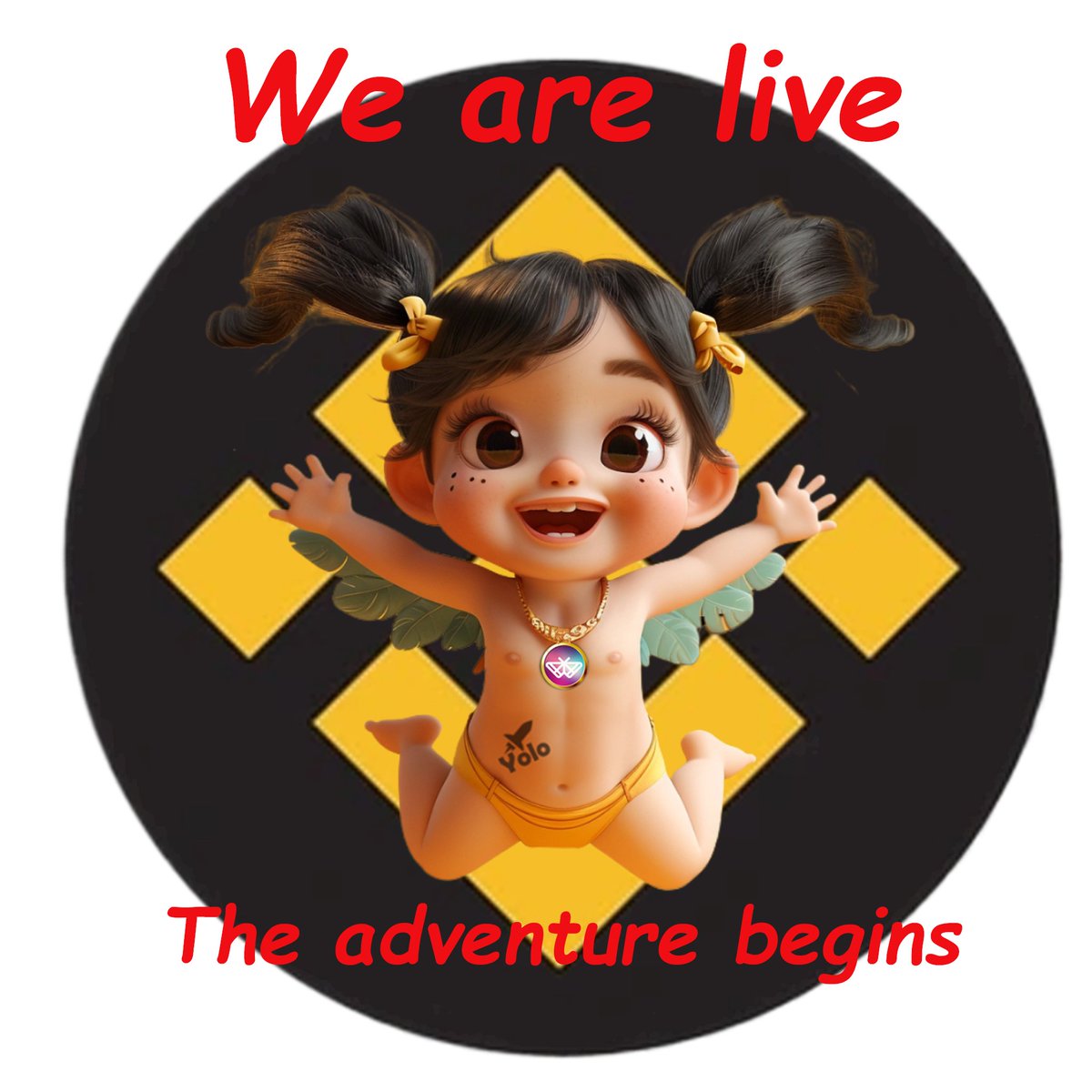 WE ARE LIVE 
The #BabyYolo has launched 
Antibot in place 
Use only links here 
*Trade on Pancake Swap here
pancakeswap.finance/swap?outputCur… 
*Add Contract to your BNB WaIIet
0x1A6423EB373a6C0644BB69D0CC8BcBB87F4Ee2F5
*Claim presale Tokens here 
pinksale.finance/launchpad/bsc/…