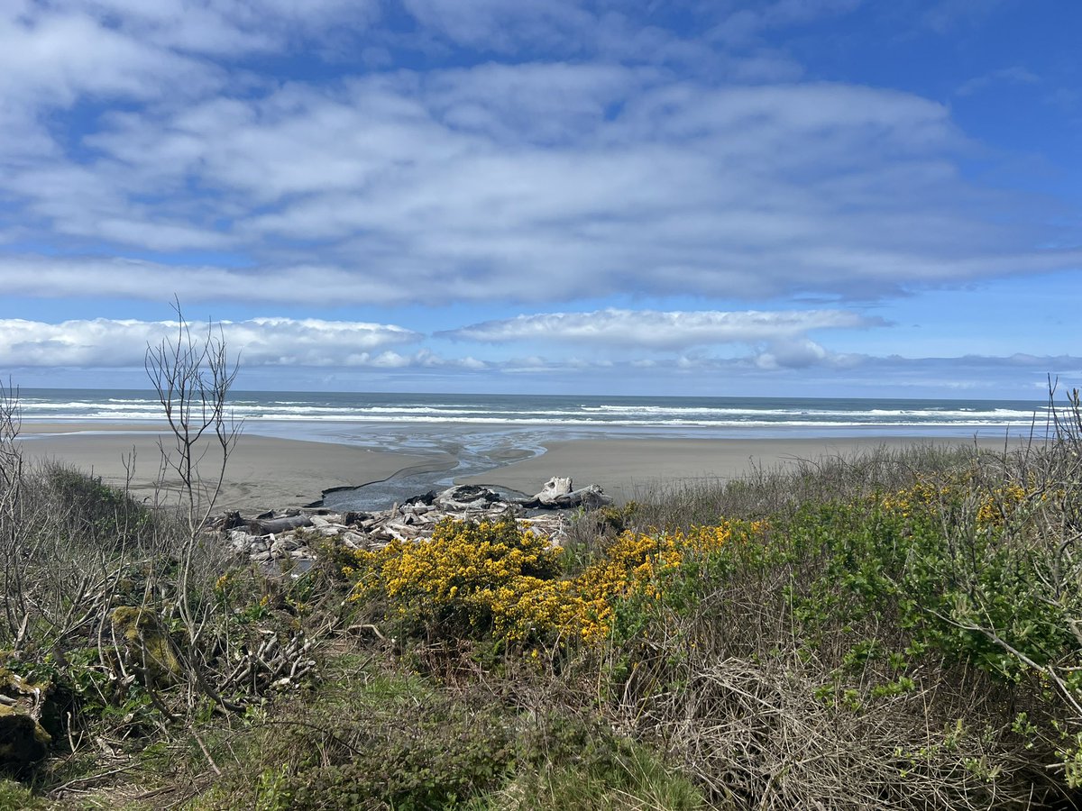 Back in OR and was able to visit Bandon  Dunes and check out @BarenbrugUSA Dunes Mix