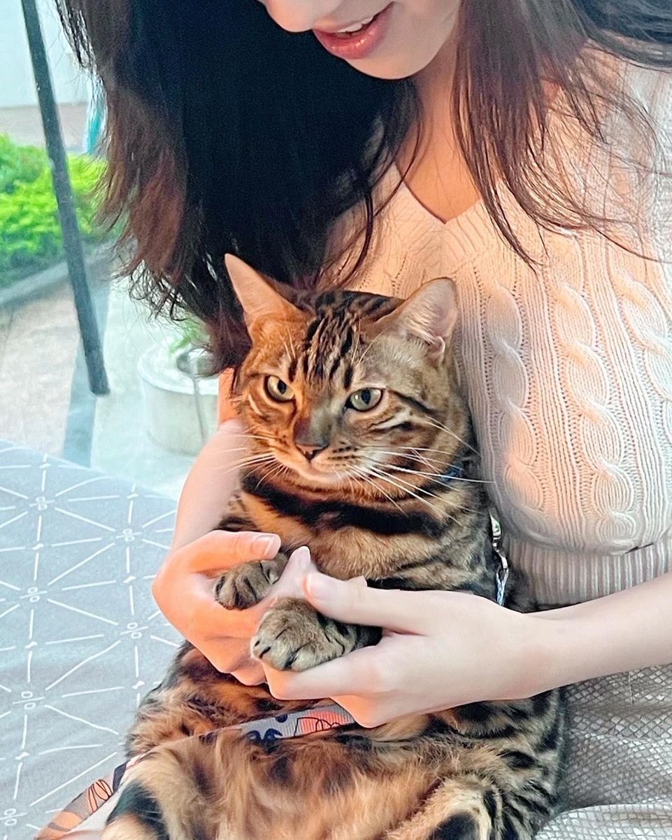Jaknet33's tweet photo. #애완동물 생활이 어느 정도 나빠지면 좋아질 것이다. 왜냐하면 그것은 더 나빠질 수 없기 때문이다 https://t.co/ZqsWvTZusH