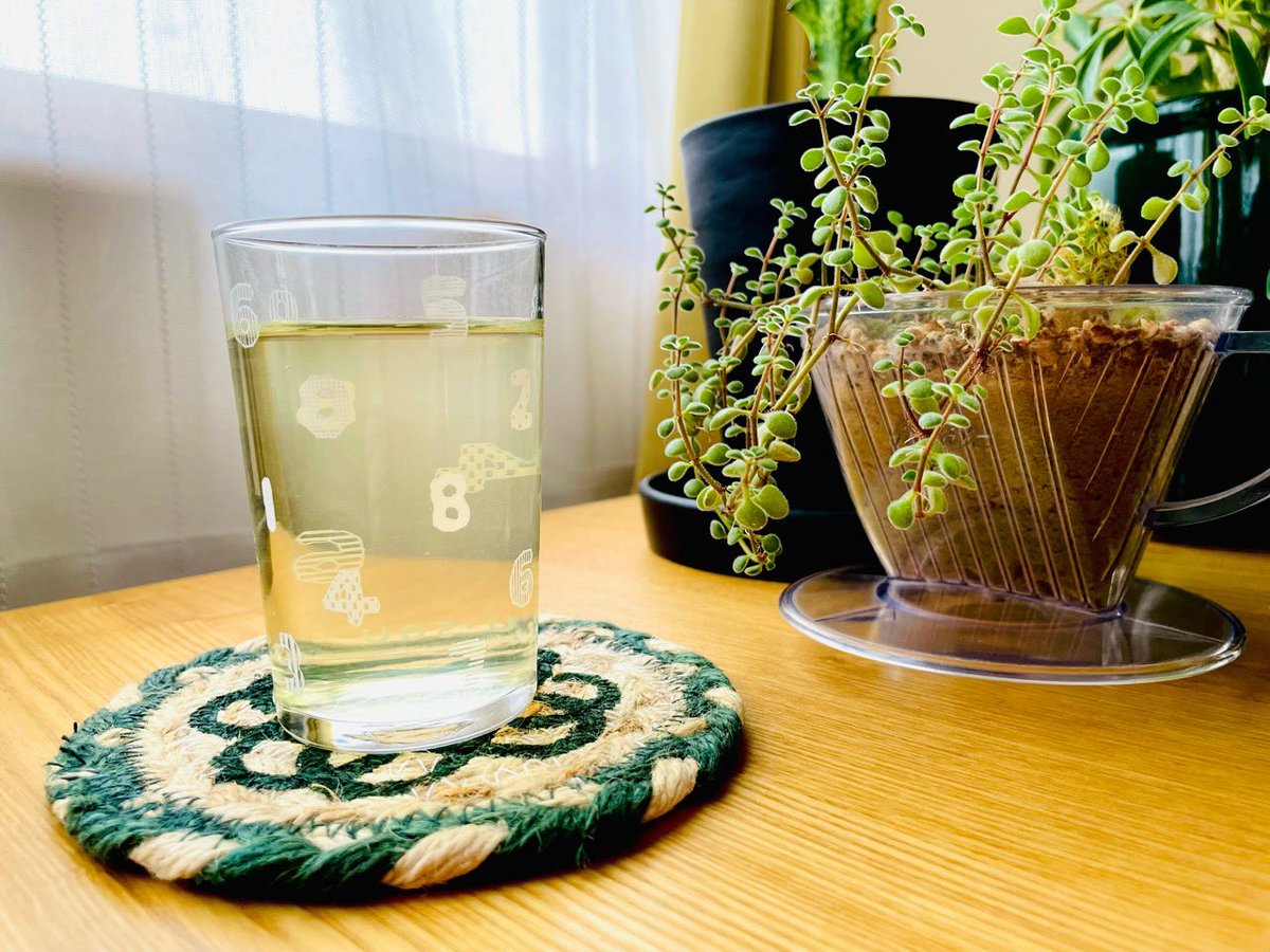 昨日から水出し茶を作り始めた。 小梅茶荘さんの黒美人花茶。強く明瞭なジャスミンの香り。味も上品で好き。