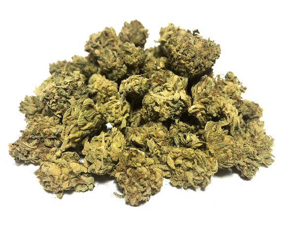 Pandora’s Box strain is a sativa-dominant hybrid strain a cross between Jack the Ripper and Space Queen, featuring high THC and CBD contents. #cannabiscanada buff.ly/3vQOSP2