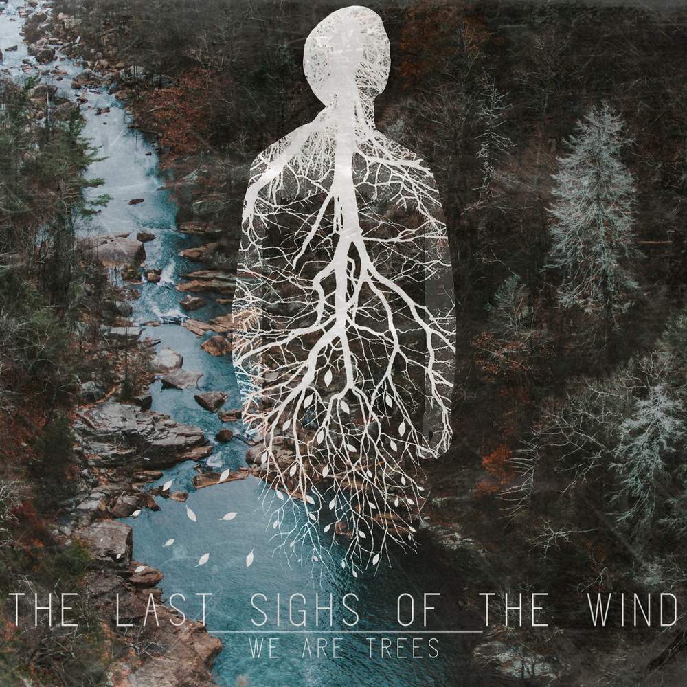 Beams1MrG's tweet photo. ★The Last Sighs of the Wind - Phobia (2017)
▶️https://t.co/nLIqa4PSns
ベラルーシのインストバンド
それほど詳しい訳ではないですが、ギターが主旋律になっていて、全体的に透明感ライクな雰囲気を持ったバンドかな🤡
#TheLastSighsoftheWind -Album : We Are Trees https://t.co/TbYhThUyK3