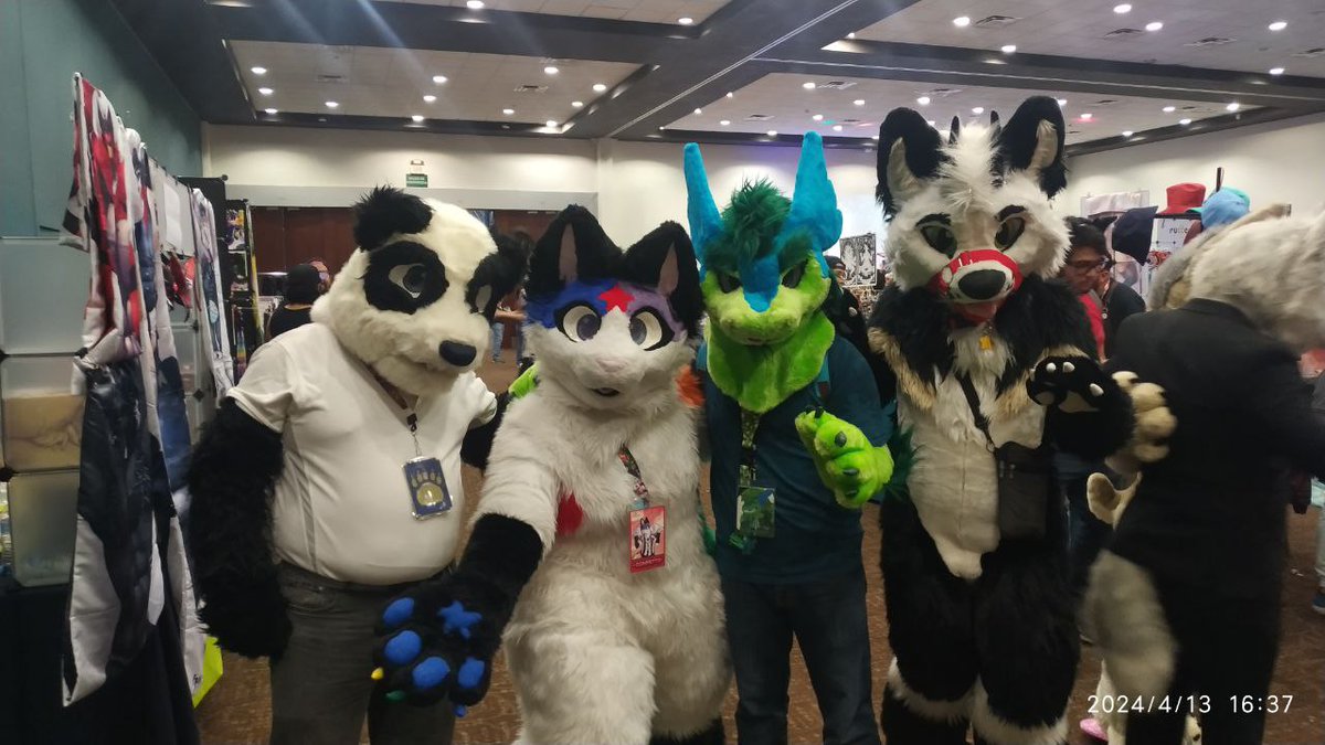 Yoshpper's tweet image. Fotos del Mercadowo. 🐊