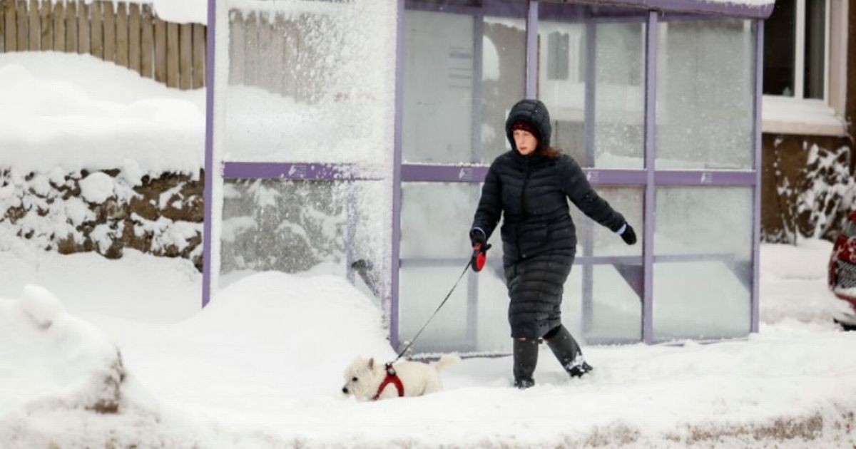 DailyMirror's tweet photo. 42-hour snow blast to freeze nearly all of Britain with one area worst affected https://t.co/dlSQ5eJeHw https://t.co/xPNy69XE8K