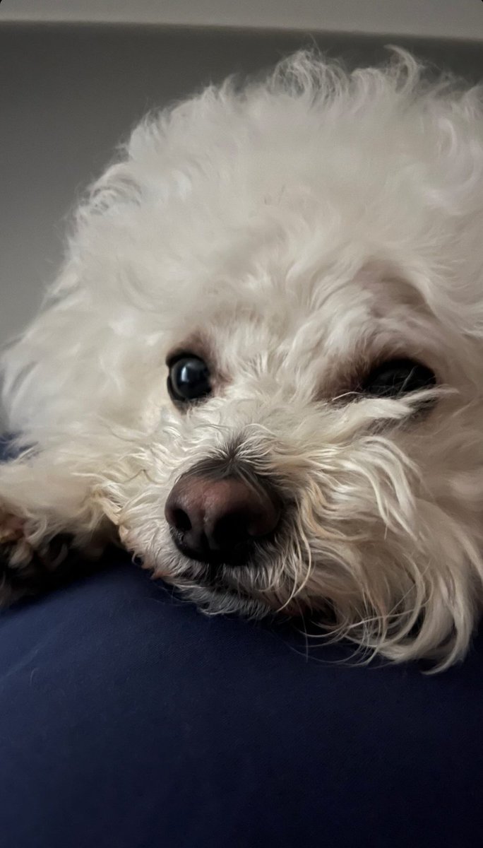 ์ค๋ฆฌ๐ฆ tweet media