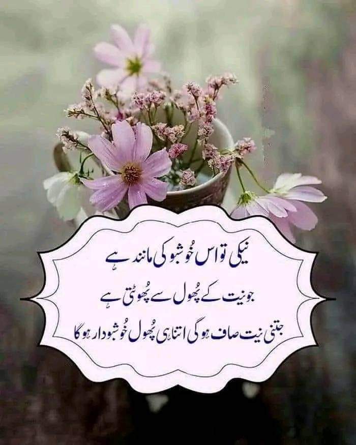 السلام علیکم ورحمتہ اللہ 🌹❤️🌹 صبح بخیر زندگی 🌹❤️🌹 #سوچ_کا_سفر #انجم