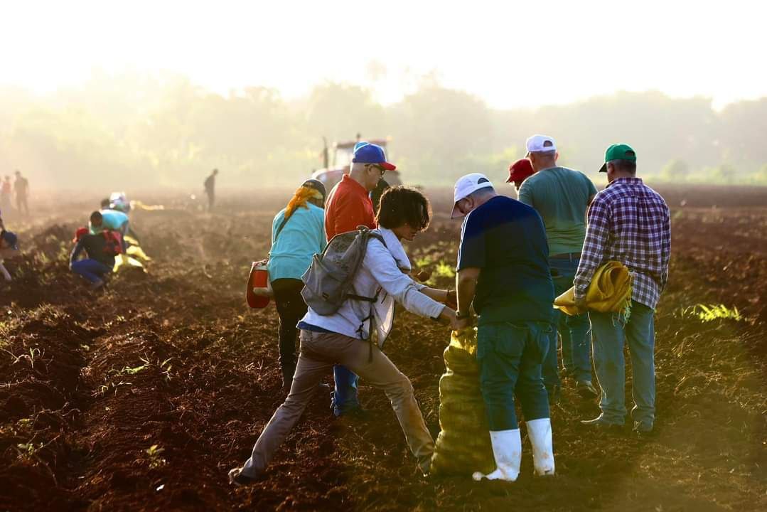 En tiempos de crisis y bloqueo económico el llamado es a producir, a crear, a generar, a utilizar nuestra fuerza e intelecto para hacer mejor nuestra realidad. Trabajar la tierra es una necesidad a las que todos tenemos que sumarnos. #PorCubaJuntosCreamos un futuro!!!