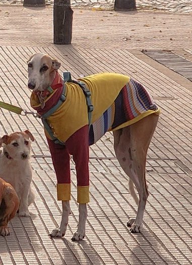 _Stalkero's tweet photo. dios no tengo ropa limpia mañana voy a laburar así https://t.co/7RFxYriYqN