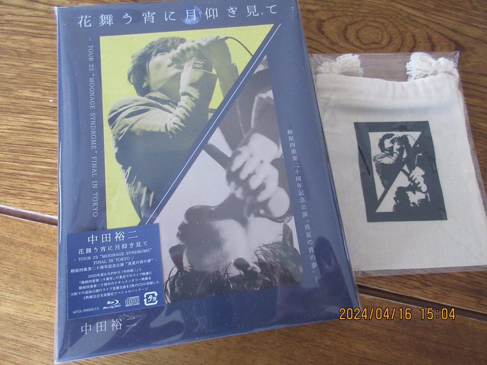 花舞う宵に月仰ぎ見て