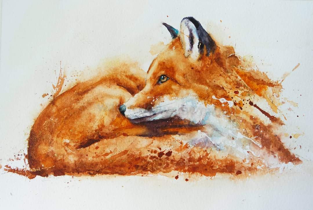 A Foxy Tuesday x

#watercolour #watercolourpainting #fox #Britishwildlife #wildlifeartist #animalportrait #painting #artist #inspiration #animals #foxes #watercolourart #loosewatercolour #splatters #art #paint