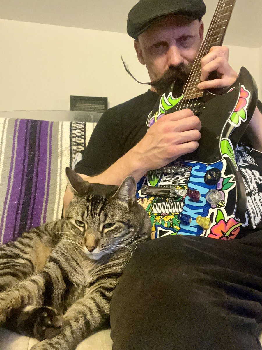 Lazy Monday serenading my son while i practice on my Gibson SG! #cats #gibson #guitar