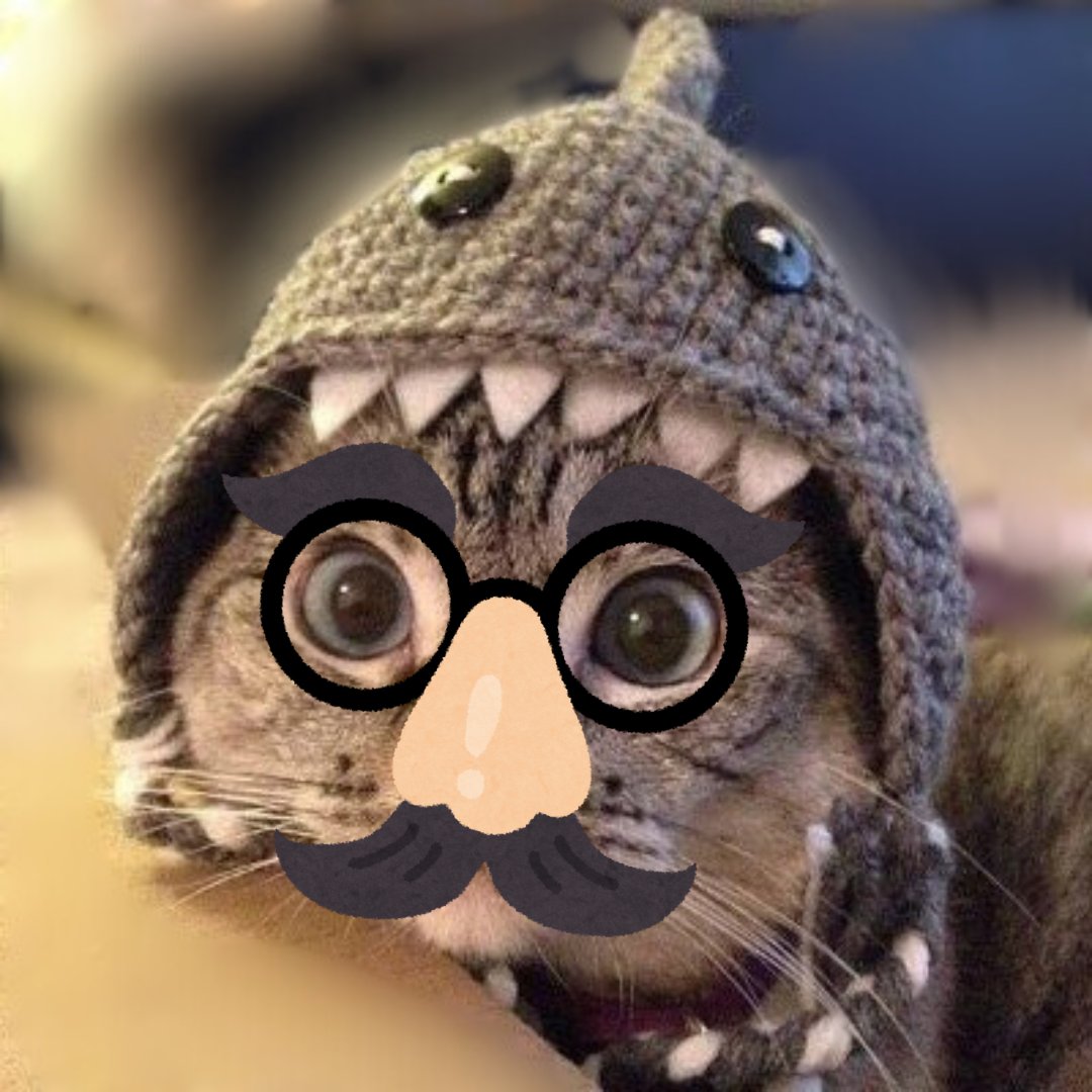 mylittlecrypto's tweet photo. Problem solved. $SC https://t.co/WTCPUSRLFb