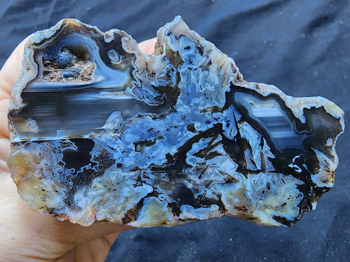 Landscape / Waterline Agates
#viewingstone #landscape #nature #NaturePhotography #inspiration #agate #achate #agata #agatecollection #rocks #Museums #art #rockhounding #crystals #geology #geologyrock #etsyfavorites #naturelovers #natural