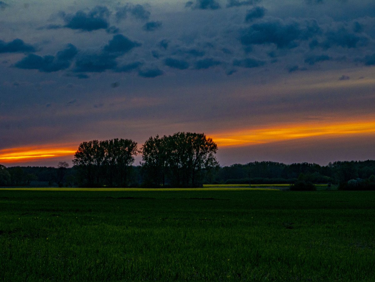 Sunset Vibes
#sachsenanhalt
#sunset
#sunsetlover
#naturfotografie
#landscape
#landschaftsfotografie
#sonnenuntergang