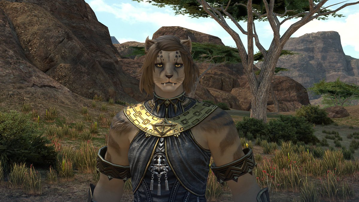 AvalonGale's tweet photo. Had a fun time in the #FFXIV benchmark test today. I got a high score, which I'll happily take since I'm currently only running a Ryzen 5.
Made this cutie patootie #Hrothgar that I'll probably never play but she is adorbs. lol
#Hrothgirl https://t.co/PqL17wloX7