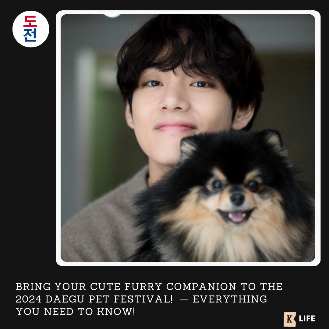 Daegu Pet Festival 2024 — Everything you need to know!

dojeonmedia.com/post/daegu-pet…

#dojeonmedia #daegupetfestival #petshow #petlovers #dogloversshow #doglover #catlover #daegu #ilovepets #petstore #petproducts #pettoys #furryfriends #fourleggedfriends #kpopidols #jungkook