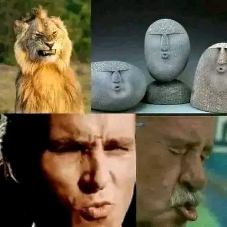Hio_Fals's tweet photo. Gajian masih lama.... awokwok sabar cuk 🤣🤣🤣🤣 https://t.co/dc7ODJ8daz