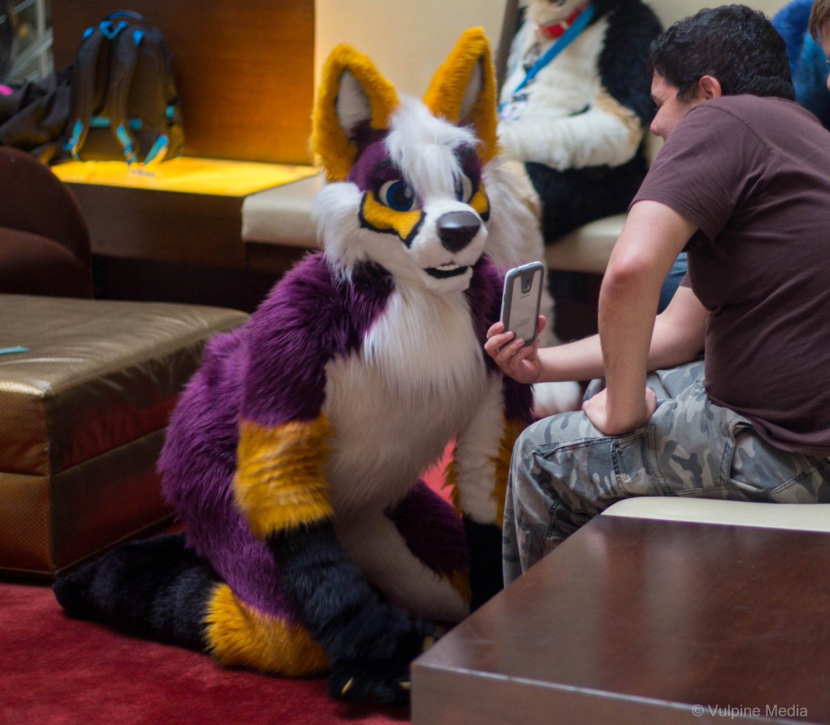 Vulpine_Media's tweet photo. old pics of @ClypseFusky from MFF 2016 https://t.co/83PnJzUPJp