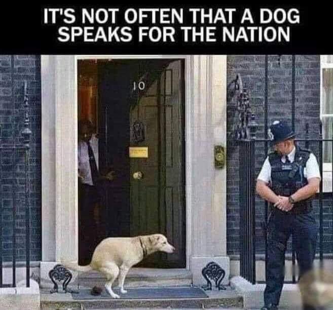 No 10 Downing Street London, home of the British PM ..🙀🙀🙀🙀🙀🙀🙀😂😂😂😂😂😂😂👍👍