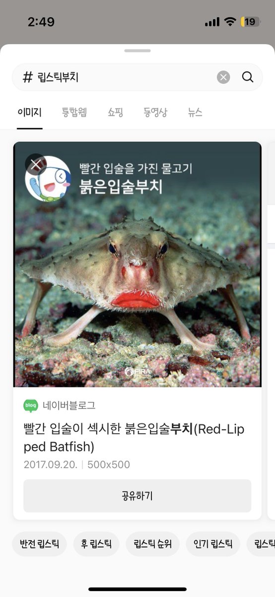 립스틱부치물고기 실존