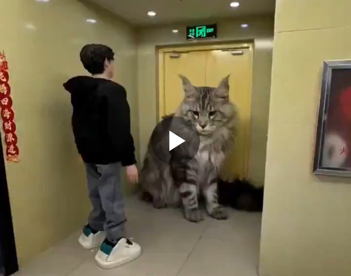 Patrick Doyle tweet media